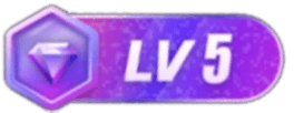 LV5 等级-LV5-全栈运营知识库